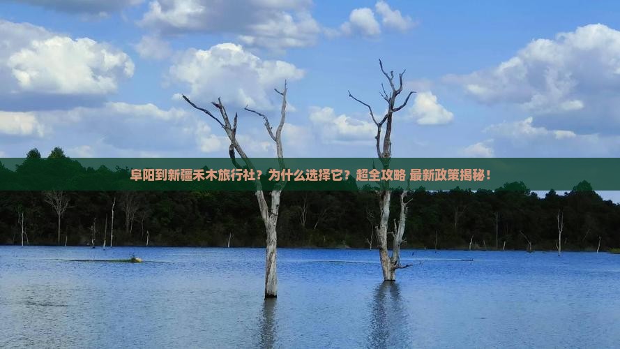 阜阳到新疆禾木旅行社