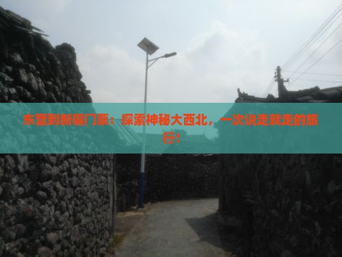 东营到新疆门票