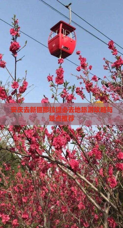 安庆去新疆那拉提必去地