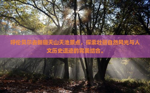 呼伦贝尔去新疆天山天池景点