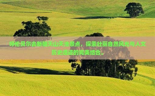 呼伦贝尔去新疆天山天池景点