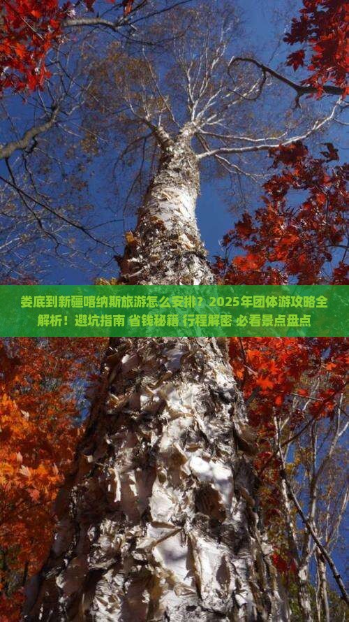 娄底到新疆喀纳斯团体旅游
