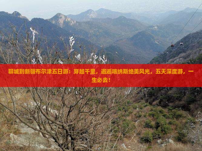 聊城到新疆布尔津五日游