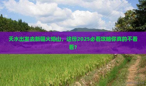 天水去新疆火焰山团体旅游