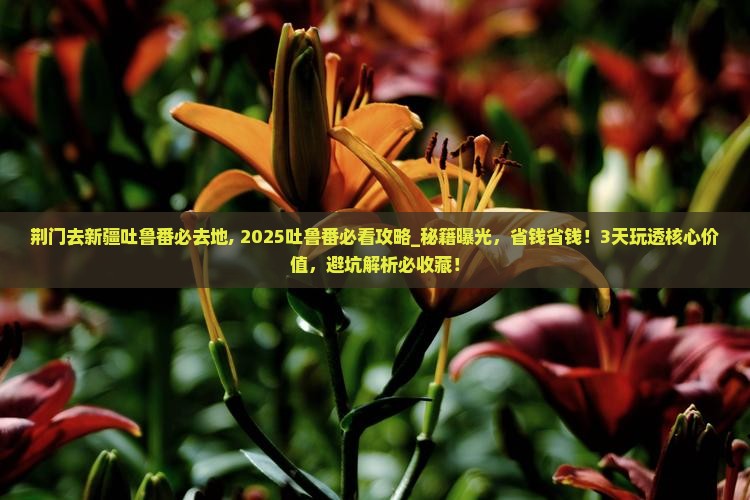 荆门去新疆吐鲁番必去地