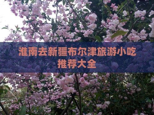 淮南去新疆布尔津旅游小吃