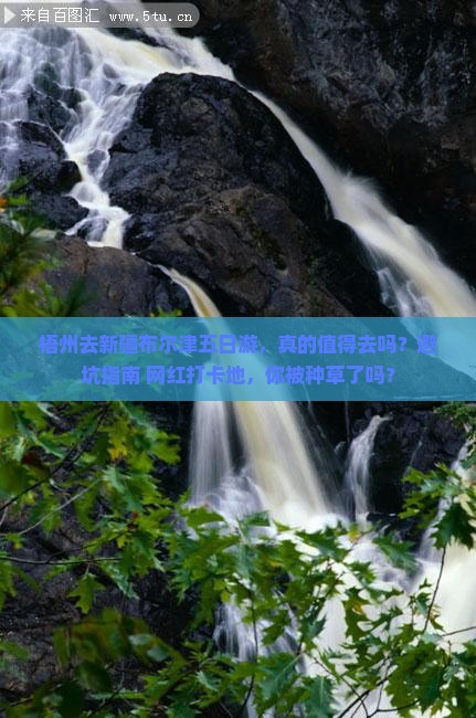 梧州去新疆布尔津五日游