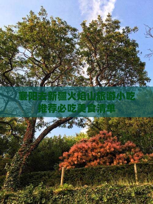 襄阳去新疆火焰山旅游小吃