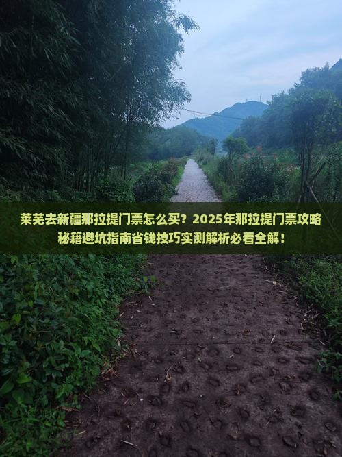 莱芜去新疆那拉提门票