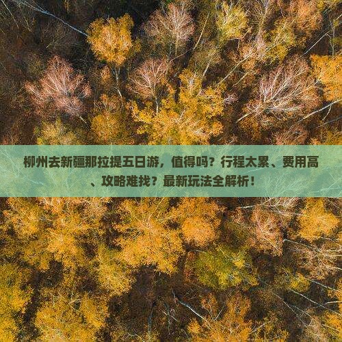 柳州去新疆那拉提五日游