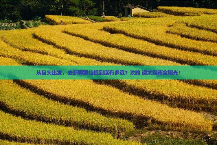 包头到新疆那拉提景点