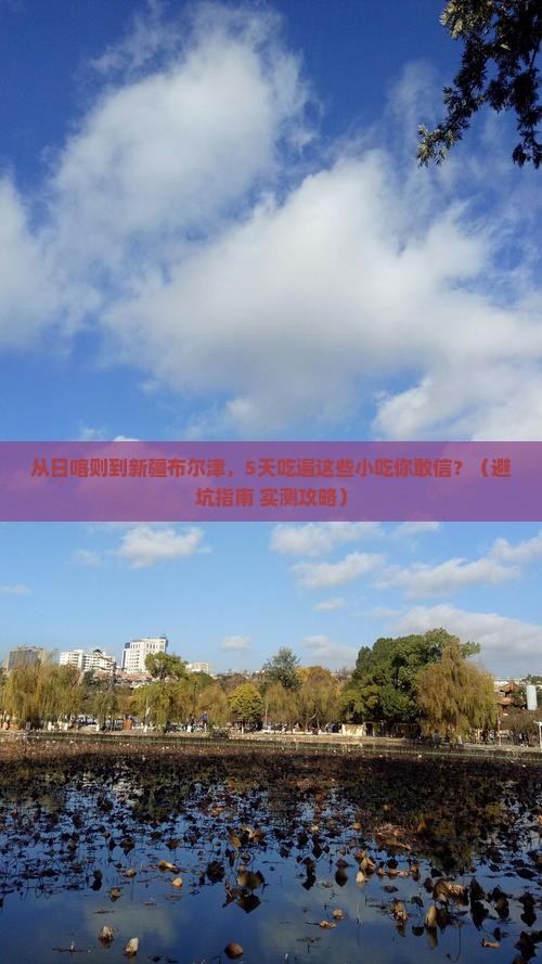 日喀则到新疆布尔津旅游小吃