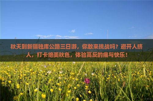秋天到新疆独库公路三日游