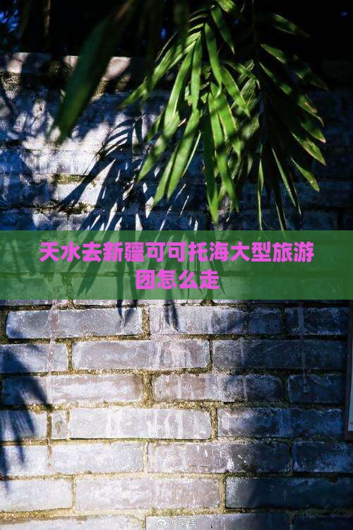 天水去新疆可可托海大型旅游团