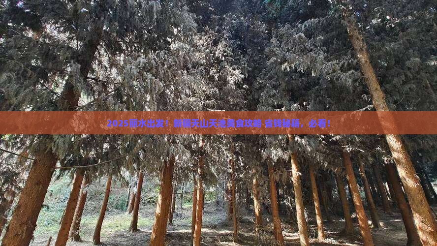 丽水到新疆天山天池旅游小吃