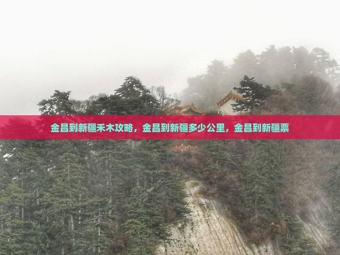 金昌到新疆禾木攻略