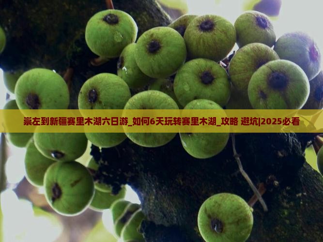 崇左到新疆赛里木湖六日游