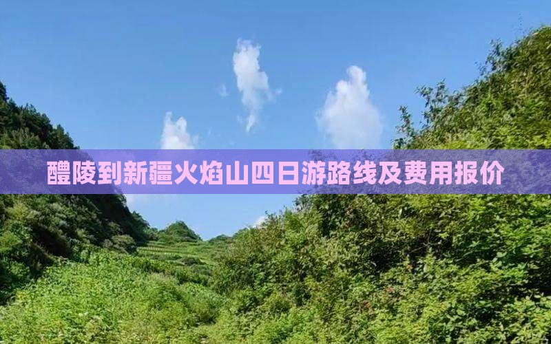 醴陵到新疆火焰山四日游