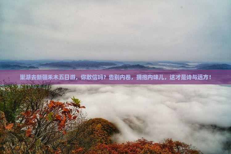 巢湖去新疆禾木五日游