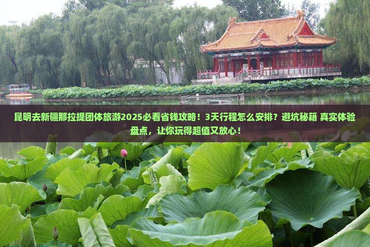 昆明去新疆那拉提团体旅游