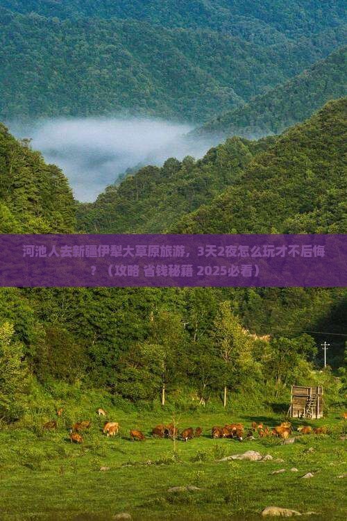 河池去新疆伊犁大草原旅游
