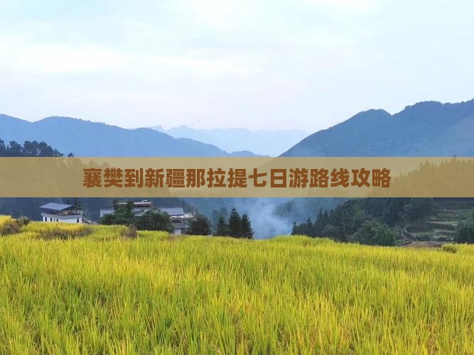 襄樊到新疆那拉提七日游