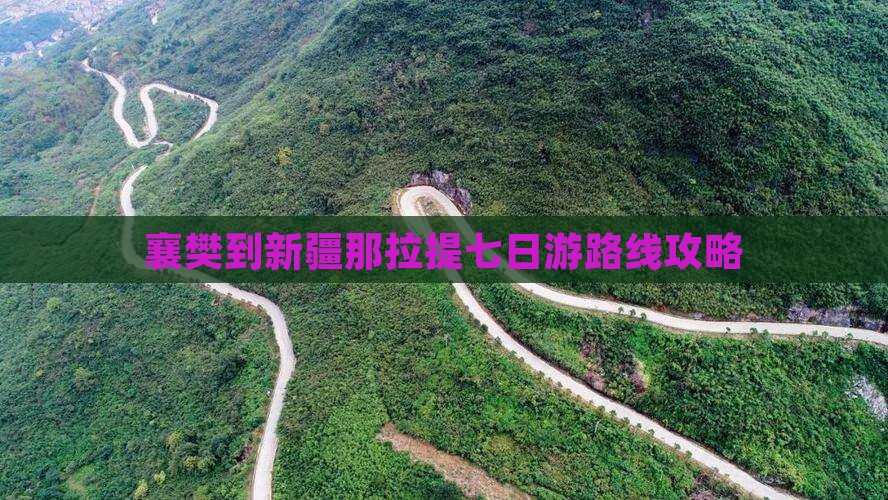 襄樊到新疆那拉提七日游