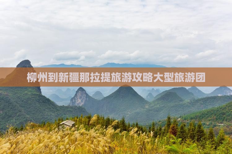 柳州到新疆那拉提大型旅游团