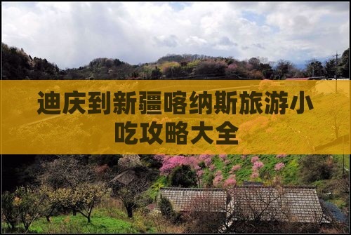 迪庆到新疆喀纳斯旅游小吃