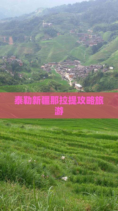 阿泰勒到新疆那拉提旅游