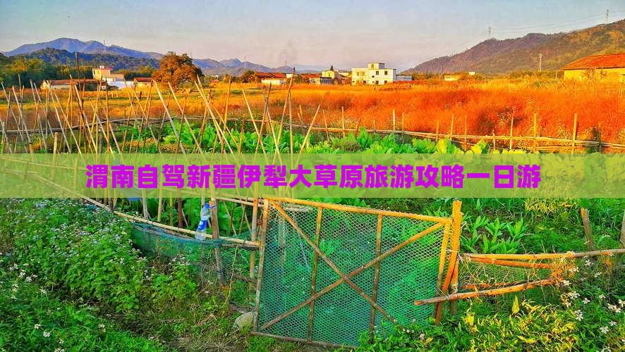 渭南去新疆伊犁大草原一日