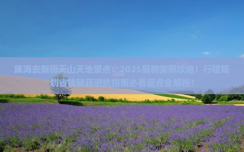 珠海去新疆天山天池景点