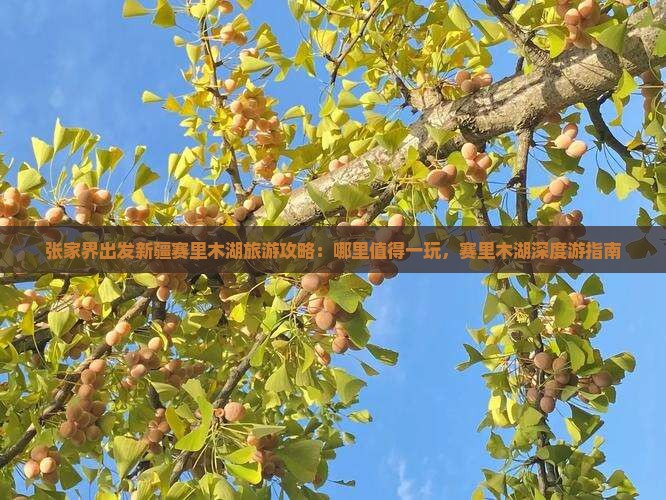 张家界出发新疆赛里木湖旅游攻略：哪里值得一玩，赛里木湖深度游指南