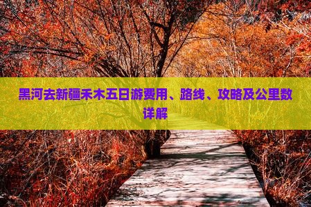 黑河去新疆禾木五日游费用、路线、攻略及公里数详解