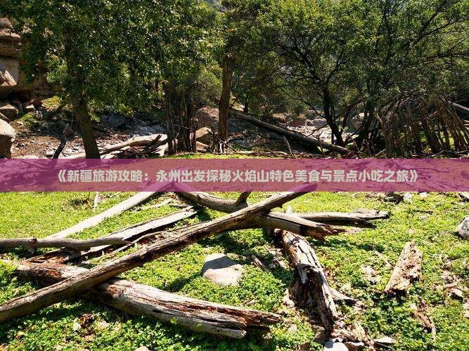《新疆旅游攻略：永州出发探秘火焰山特色美食与景点小吃之旅》