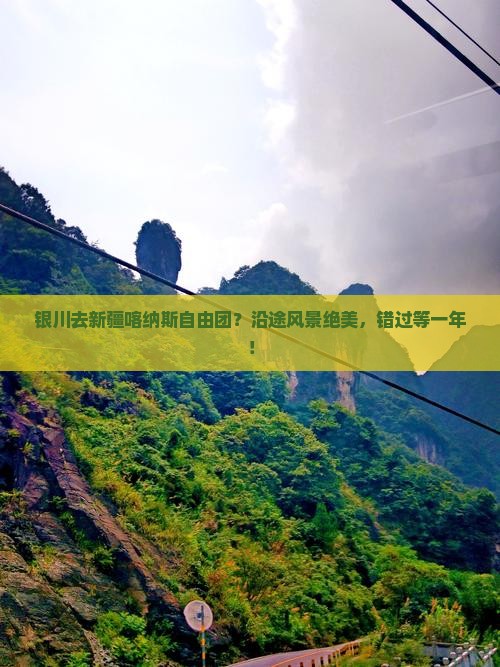 银川去新疆喀纳斯自由团？沿途风景绝美，错过等一年！