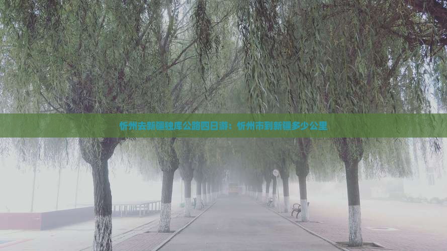 忻州去新疆独库公路四日游：忻州市到新疆多少公里
