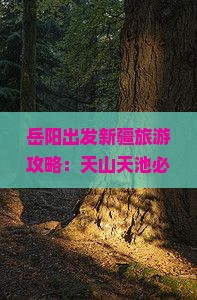 岳阳出发新疆旅游攻略：天山天池必去路线及天山天池景点详解