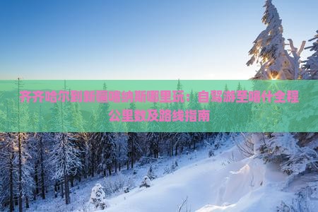 齐齐哈尔到新疆喀纳斯哪里玩：自驾游至喀什全程公里数及路线指南