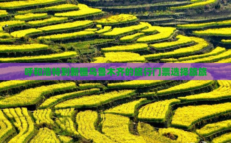 呼和浩特到新疆乌鲁木齐的旅行门票选择旅旅