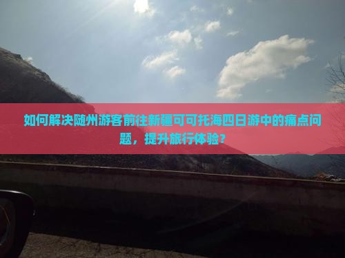 如何解决随州游客前往新疆可可托海四日游中的痛点问题，提升旅行体验？