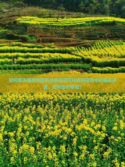 如何解决随州游客前往新疆可可托海四日游中的痛点问题，提升旅行体验？