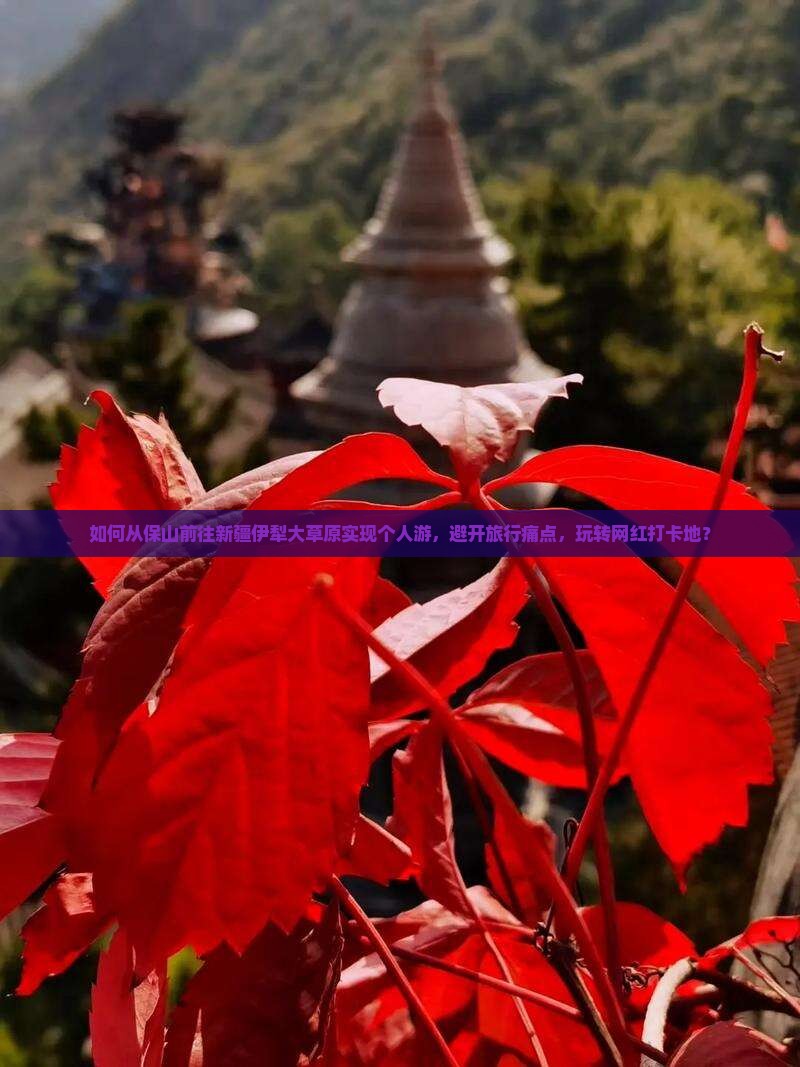 如何从保山前往新疆伊犁大草原实现个人游，避开旅行痛点，玩转网红打卡地？