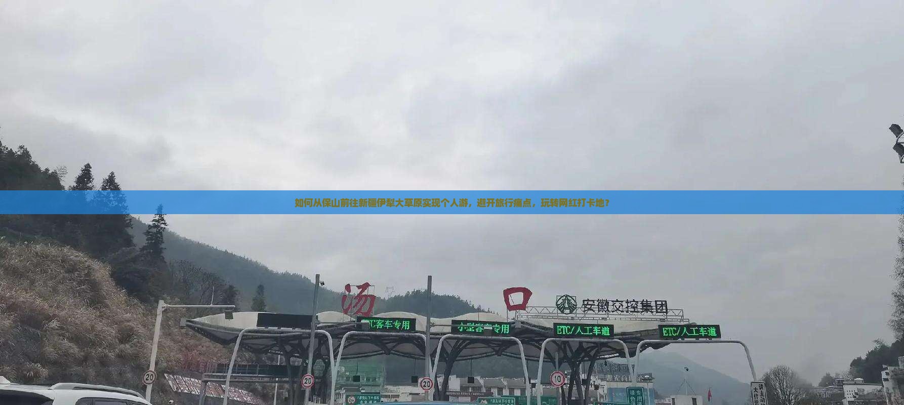 如何从保山前往新疆伊犁大草原实现个人游，避开旅行痛点，玩转网红打卡地？