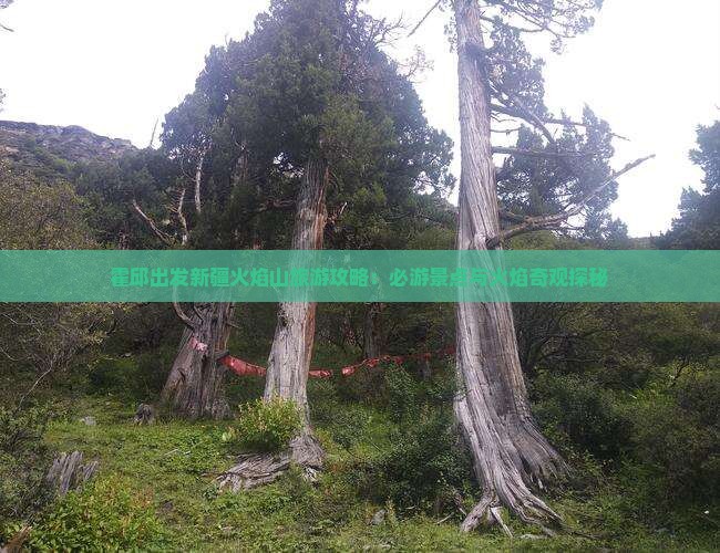 霍邱出发新疆火焰山旅游攻略：必游景点与火焰奇观探秘