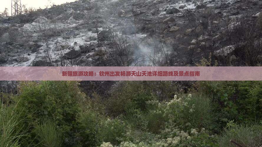 新疆旅游攻略：钦州出发畅游天山天池详细路线及景点指南