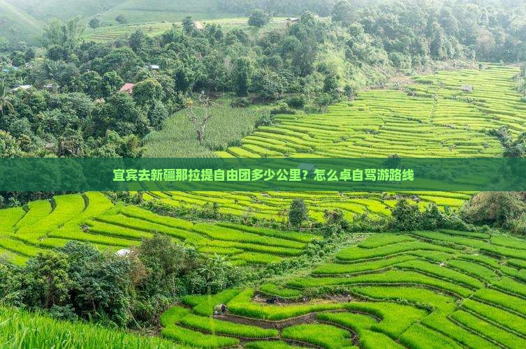 宜宾去新疆那拉提自由团多少公里？怎么卓自驾游路线