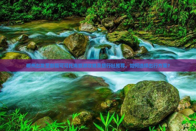 郴州出发至新疆可可托海旅游攻略及旅行社推荐，如何选择出行方案？