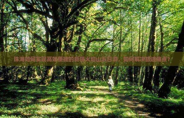 珠海如何实现高效便捷的新疆火焰山五日游，如何解决旅途痛点？