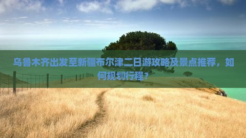 乌鲁木齐出发至新疆布尔津二日游攻略及景点推荐，如何规划行程？